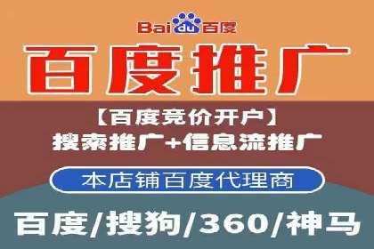 网络推广竞价策略案例分析